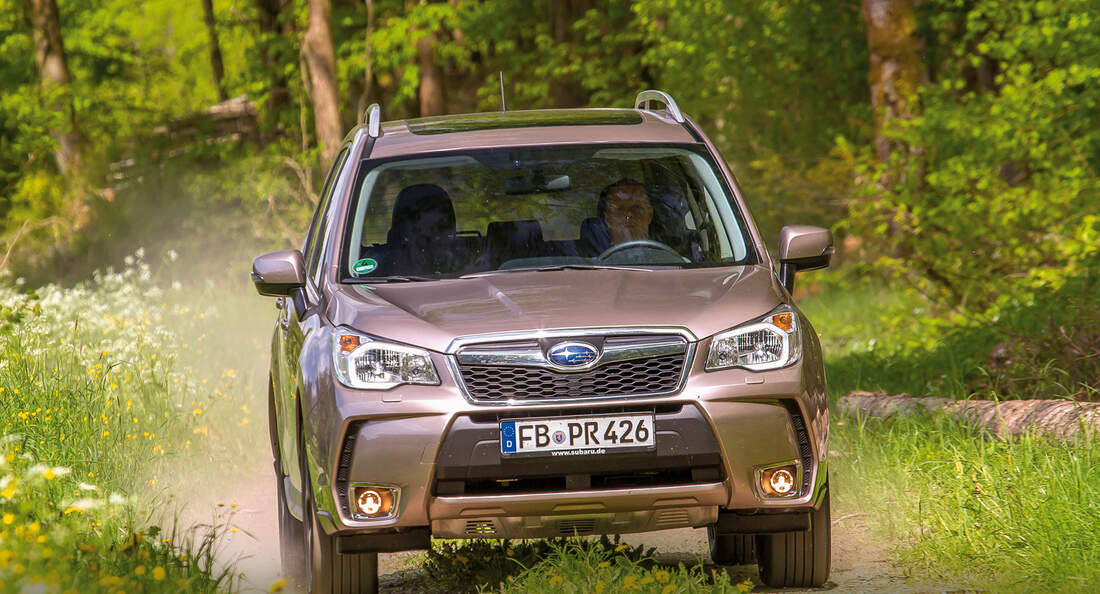 Subaru Forester Typ SJ Alle Generationen Neue Modelle Tests