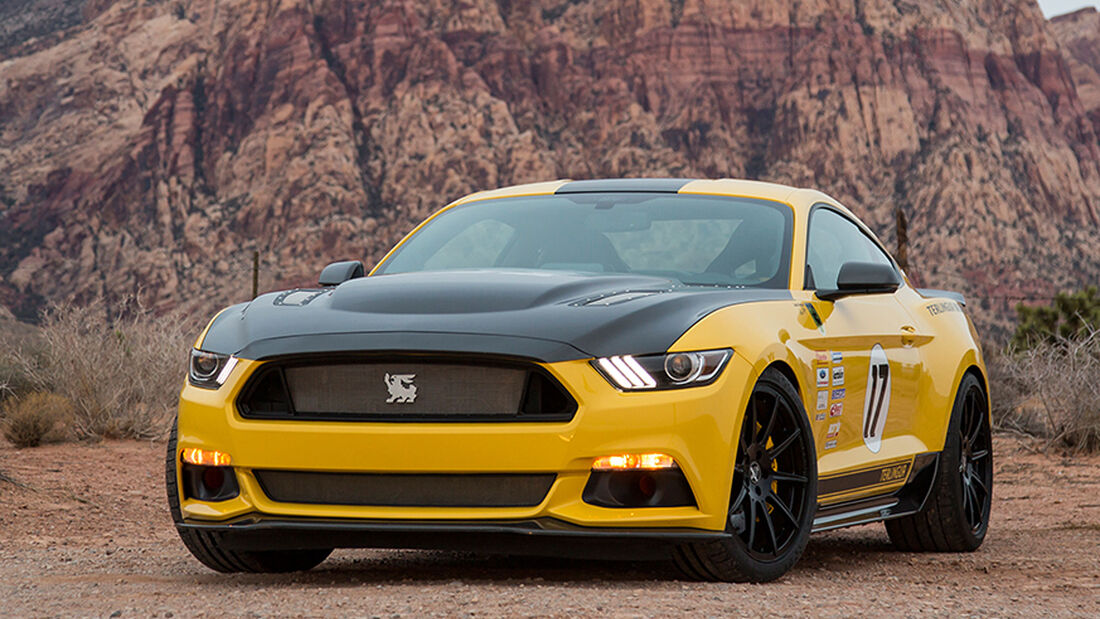  Shelby Terlingua Racing Team Mustang