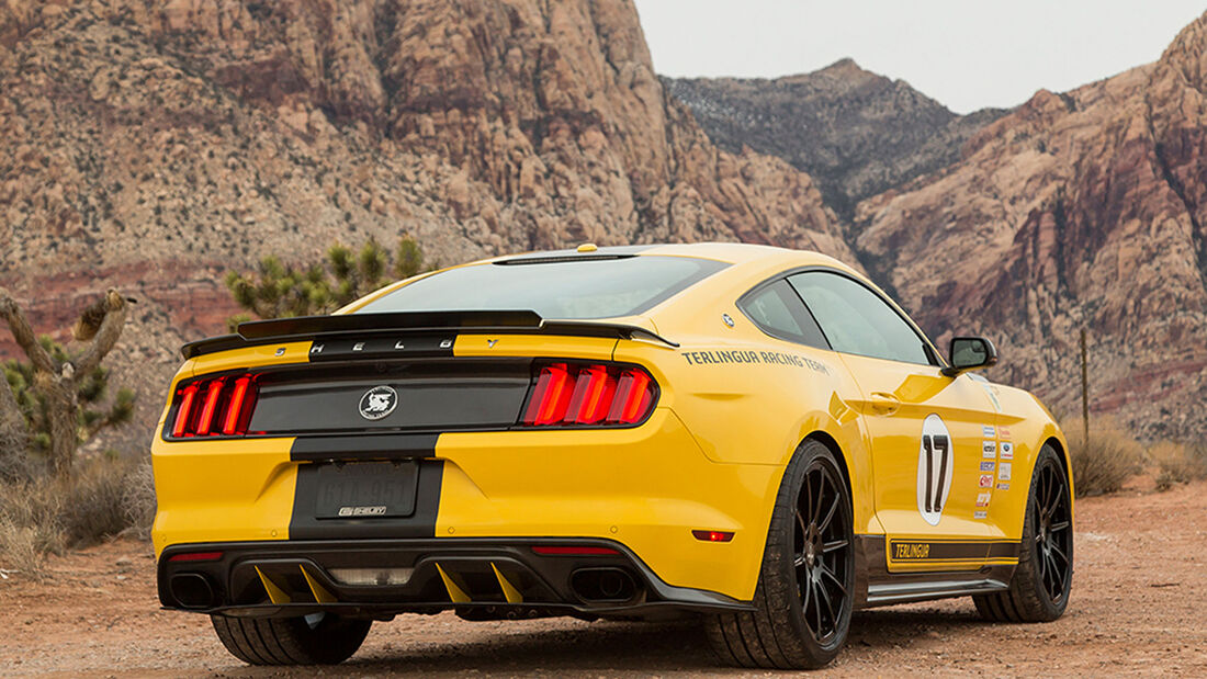  Shelby Terlingua Racing Team Mustang