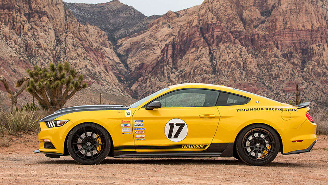  Shelby Terlingua Racing Team Mustang