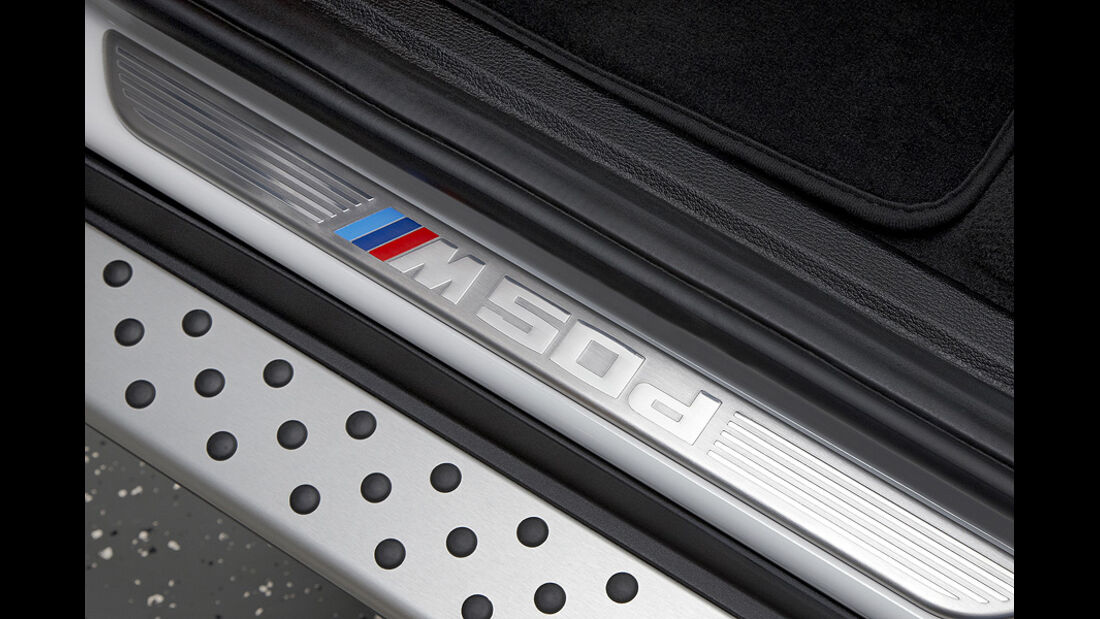 01/2012, BMW X6 M50d, Einstiegsleiste