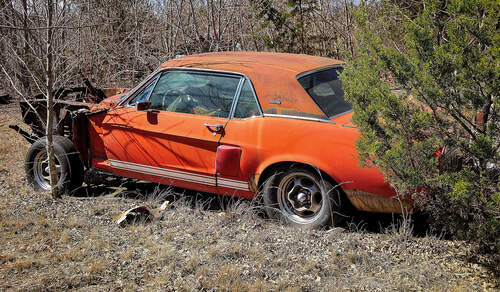 01/2020, Ford Shelby Mustang Prototyp Little Red