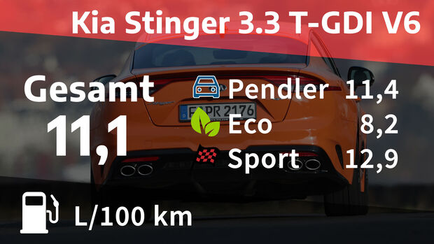 02/2022, Kosten und Realverbrauch Kia Stinger 3.3 T-GDI V6 GT