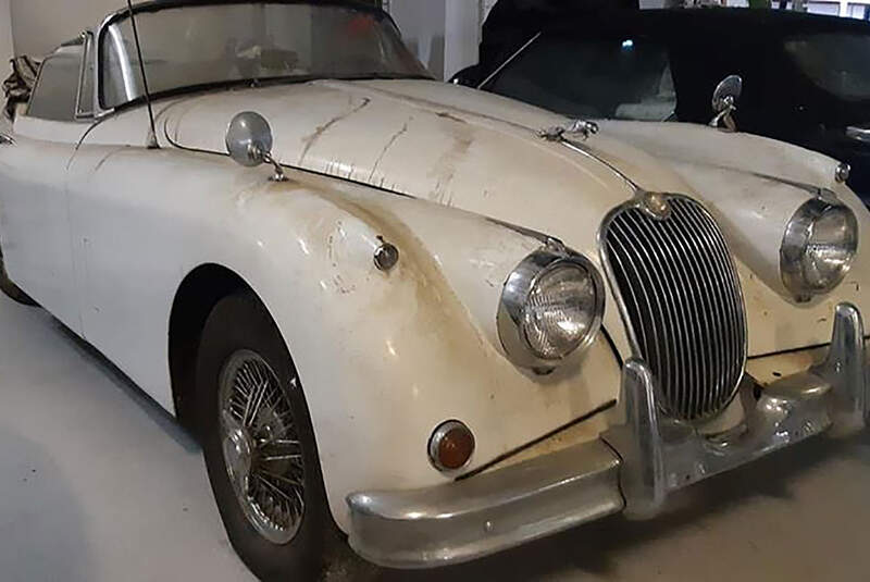 12/2019, Jaguar-Oldtimer Gewächshaus-Fund England