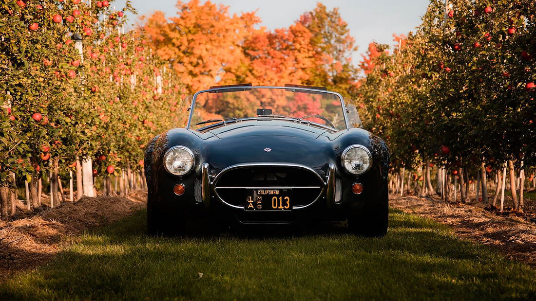 1965 Shelby 427 Cobra von Carroll Shelby