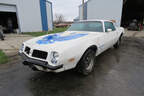 1975er Pontiac Trans Am