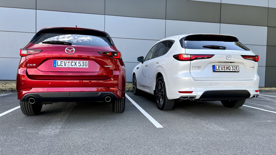 Mazda CX-5 und CX-60: SUV im ersten Vergleich