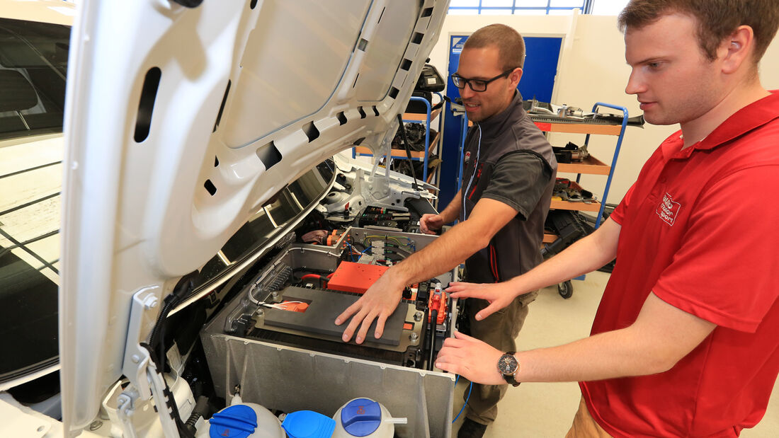 Abt eCaddy, Werkstattbesuch, Technik, Umwelt