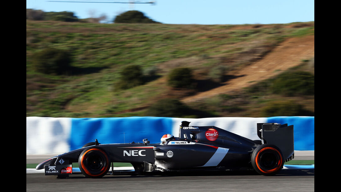 Adrian Sutil - Sauber - Formel 1 - Jerez - Test - 30. Januar 2014