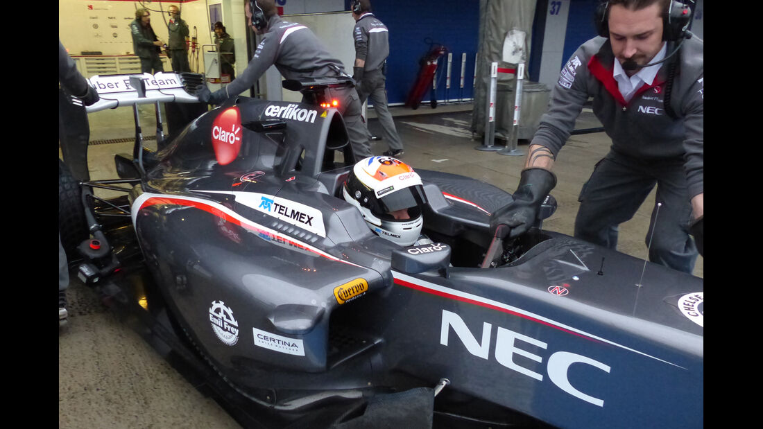 Adrian Sutil - Sauber - Formel 1 - Jerez - Test - 31. Januar 2014