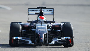 Adrian Sutil - Sauber - Formel 1 - Test - Bahrain - 22. Februar 2014