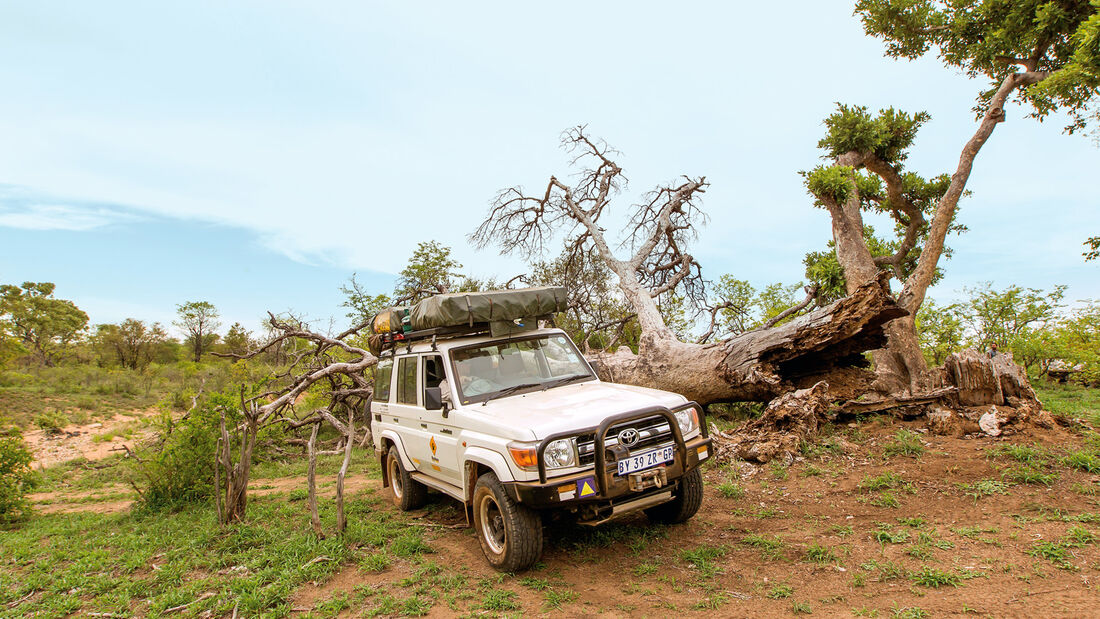 Afrika, Toyota Land Cruiser, Impressionen, Tierwelt