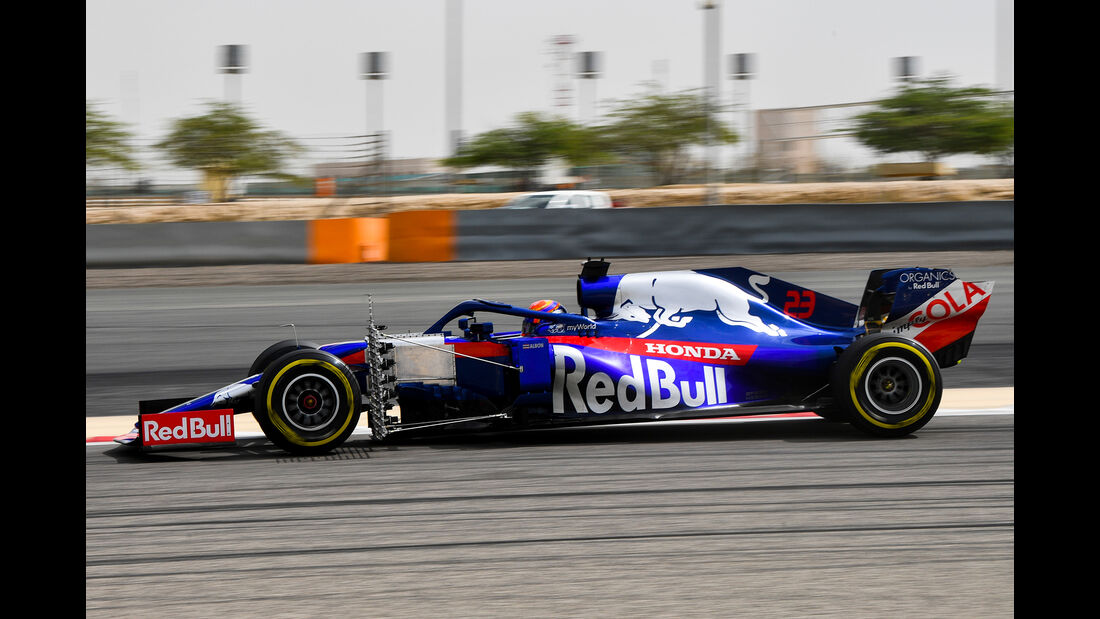 Alexander Albon - Toro Rosso - F1-Test Bahrain - 3. April 2019