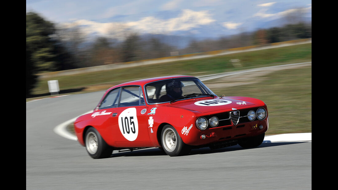 Alfa Romeo GTAm, Seitenansicht