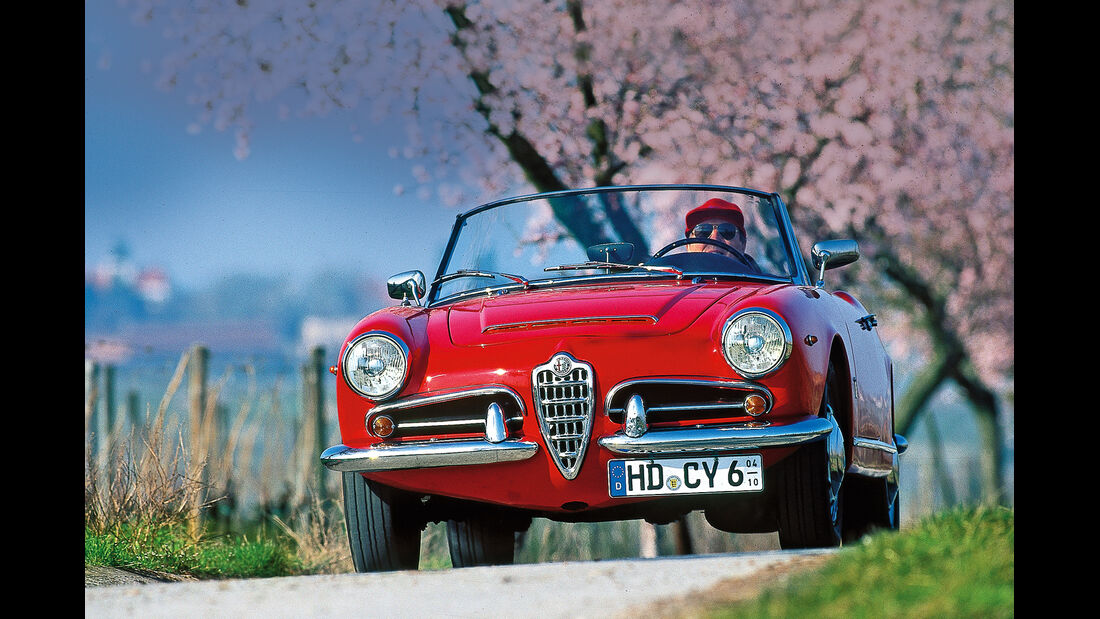 Alfa Romeo Giulia Spider, Frontansicht