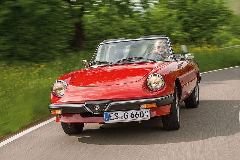Alfa Romeo Spider Gummilippe