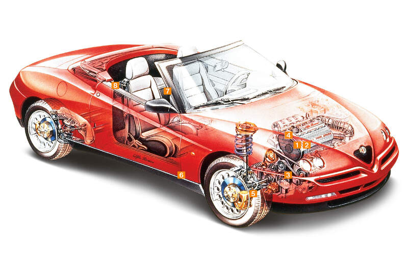 Alfa Romeo Spider, Schwachpunkte, Igelbild