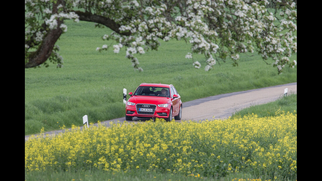 Audi A3 Sportback 1.6 TDI, Frontansicht