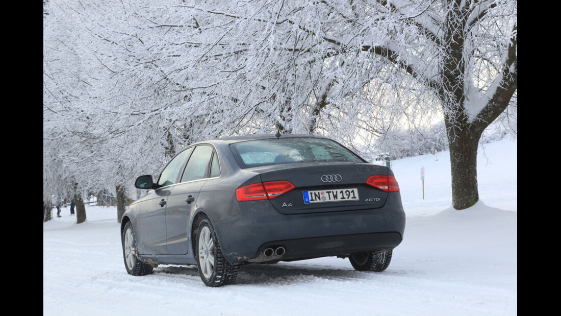 Audi A4 2.0 TDI, Winter, Bäume, Rückansicht
