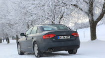 Audi A4 2.0 TDI, Winter, Bäume, Rückansicht