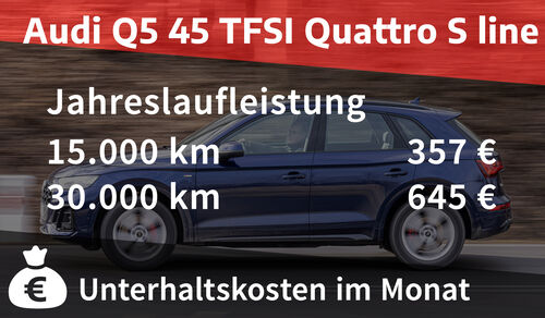 Audi Q5 45 TFSI Quattro S line Realverbrauch