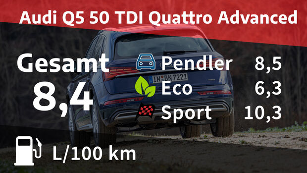 Audi Q5 50 TDI Quattro Advanced, Kosten Realverbrauch, Diesel
