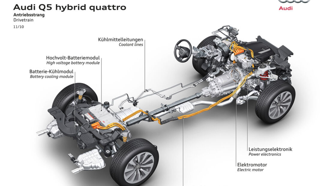 Audi Q5 Hybrid, Igelbild, Grafik