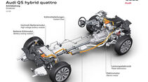 Audi Q5 Hybrid, Igelbild, Grafik