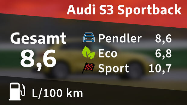 Audi S3 Sportback, Kosten und Realverbrauch