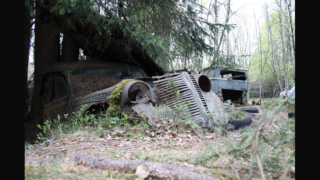 Autofriedhof Båstnäs: Schrott und die Welt - auto motor und sport