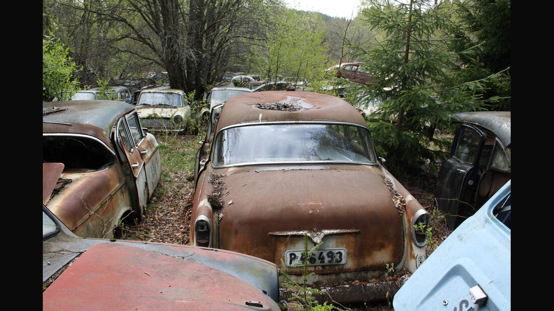 Autofriedhof Båstnäs: Schrott und die Welt - auto motor und sport