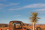 Autowracks in Namibia, Baum