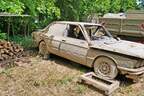 BMW 5er E12 Wasserleiche Dingolfing