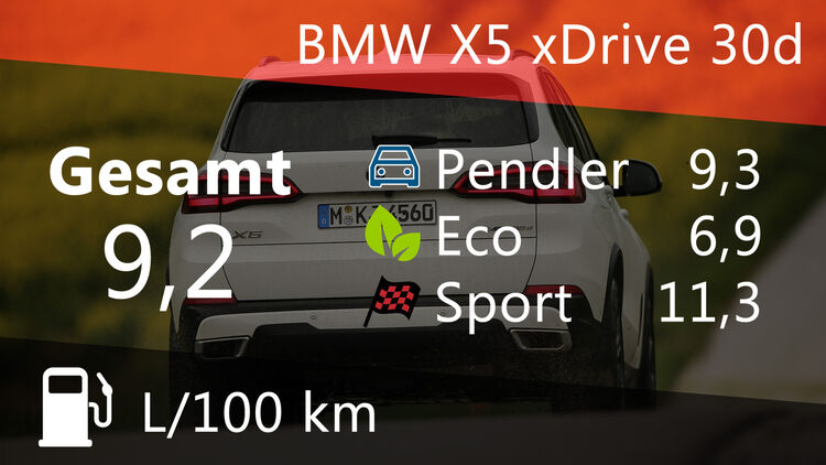 Kosten Und Realverbrauch Bmw X5 Xdrive 30d Auto Motor Und Sport