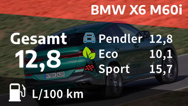 BMW X6 M60i
