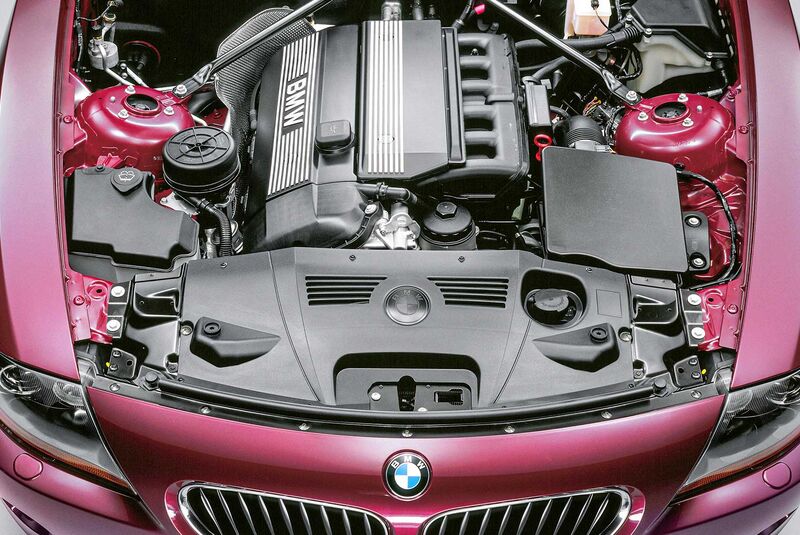 BMW Z4 (E85) 2.5 si Motor (N52)