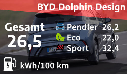 BYD Dolphin Design