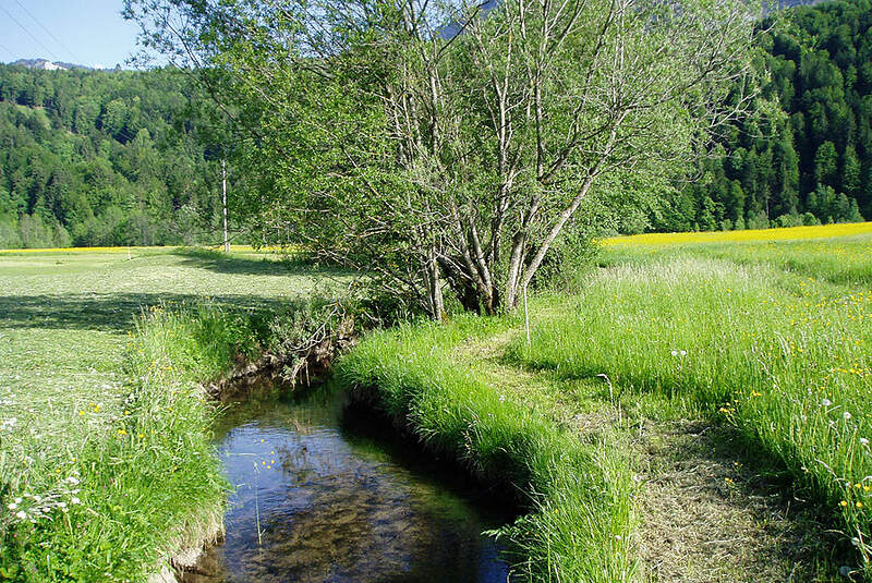 Barfußweg in Bizau