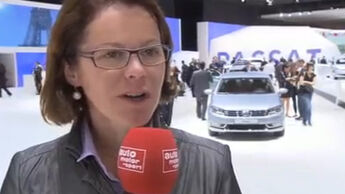 Birgit Priemer VW Passat Screenshot