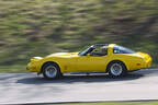 Chevrolet Corvette C3, Baujahr 1979