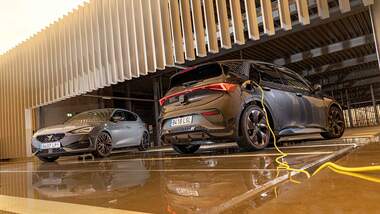 Cupra Born, Cupra Leon