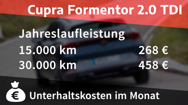 Cupra Formentor 2.0 TDI, Kosten- und Realverbrauch