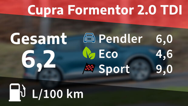 Cupra Formentor 2.0 TDI, Kosten- und Realverbrauch