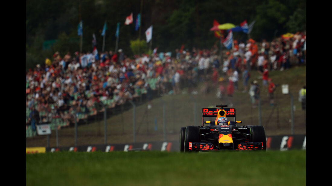 Daniel Ricciardo - Red Bull - Formel 1 - GP Ungarn - 23. Juli 2016