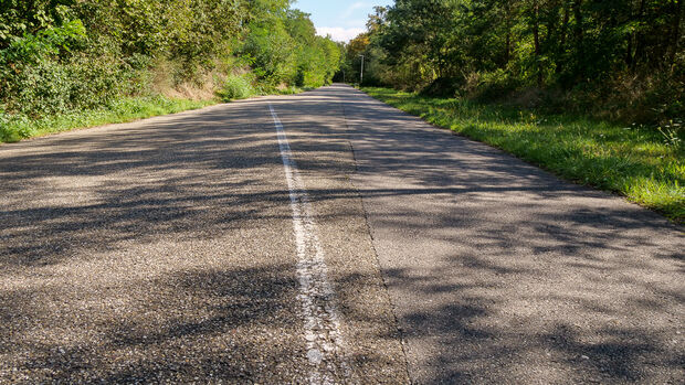 Die alte weiße Streckenmarkierung der ehemaligen Ostkurve am Hockenheimring. 