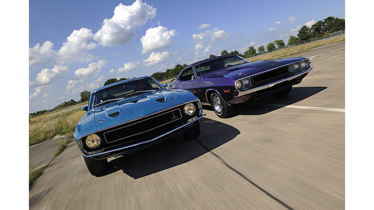 dodge mustang gt Dodge Challenger R/T und Shelby Mustang GT 1: Pony-Cars mit dodge mustang gt Dodge Challenger R/T und Shelby Mustang GT 1: Pony-Cars mit