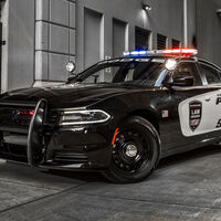 Dodge Charger Pursuit (2019)