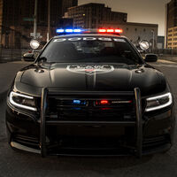 Dodge Charger Pursuit (2019)