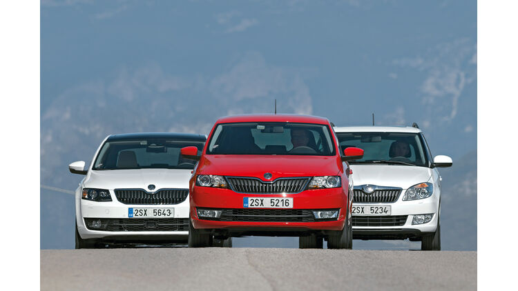 Skoda Kaufberatung Fabia Combi Octavia Oder Rapid Spaceback Auto Motor Und Sport