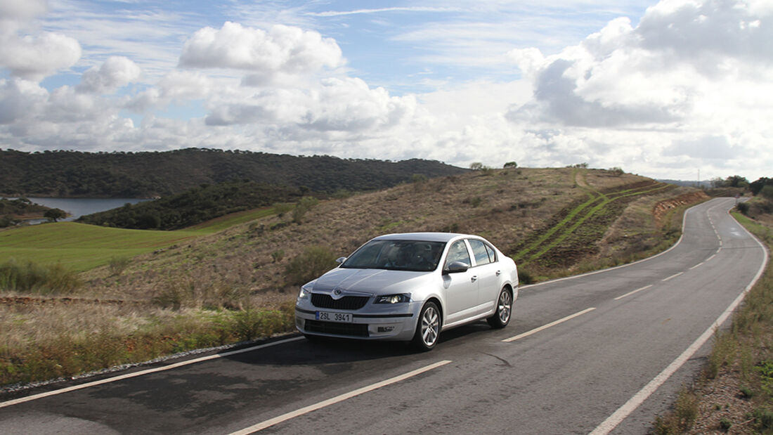 Fahrbericht Skoda Octavia, Front